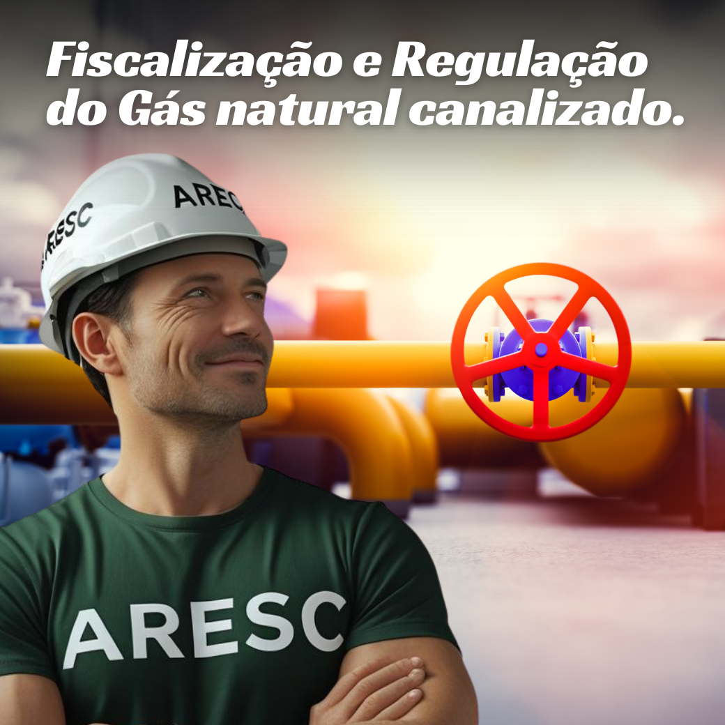 15 Gás Natural canalizado e Recursos Minerais