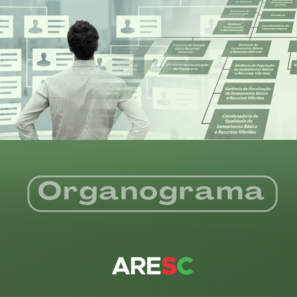 6 Organograma